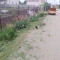 IMG_20250530_180512.jpg